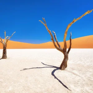 Namibia Explorer 9/22 agosto a 4.590€