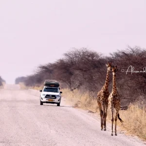 Namibia Explorer in Rooftop Tent 9/22 agosto a 3.790€