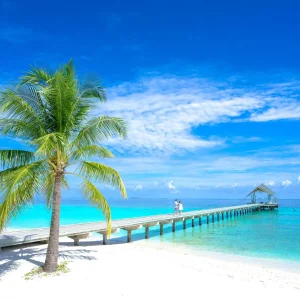 Mauritius - 4/16 agosto da 2.540€