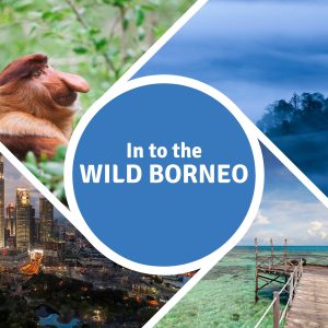 In To The Wild Borneo da 3.790€