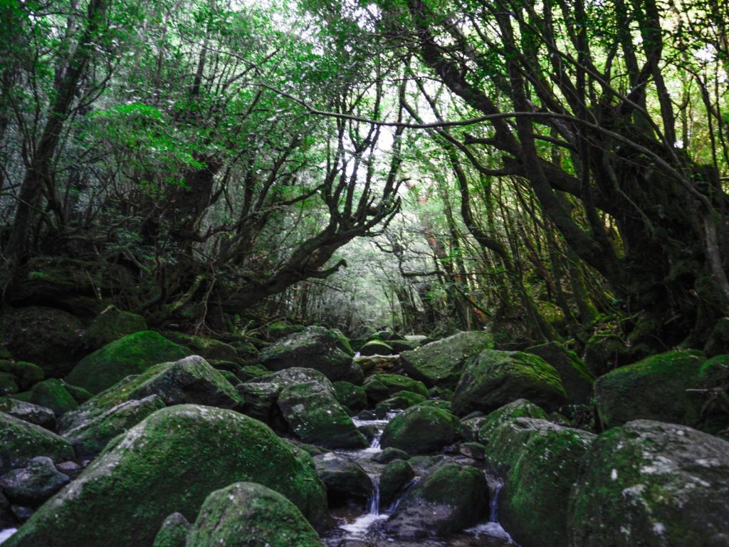 Yakushima