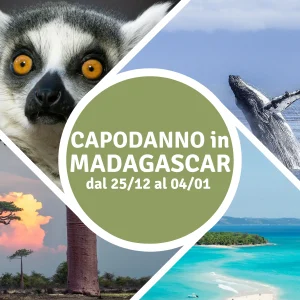 Capodanno 2027 in Madagascar dal 25/12 al 04/01 a partire da 2.990€