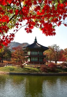 Corea_Del_Sud_Jambotour (3)