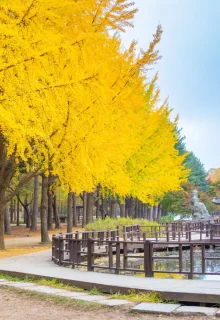 Corea_Del_Sud_Jambotour (7)