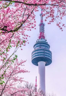 Corea_Del_Sud_Jambotour (8)