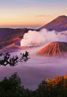 Indonesia_Jambotour_2024 (3)