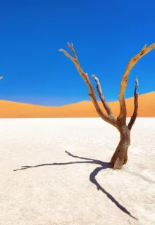 Jambotour_Namibia_off (2)