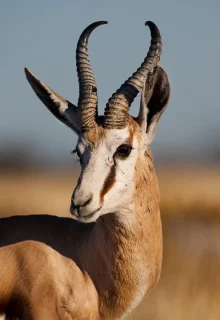 Jambotour_Namibia_off (7)