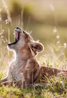 Jambotour_Tanzania_2023 (1)