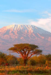 Jambotour_Tanzania_2023 (5)