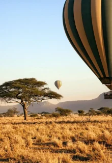 Jambotour_Tanzania_2023 (6)