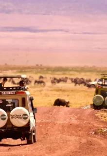 Jambotour_Tanzania_Alessandro_Fleri (10)