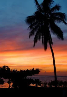 Jambotour_Zanzibar_1 (6)