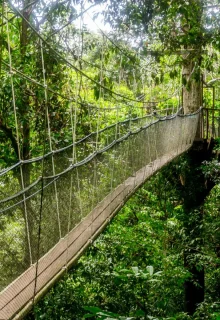 Malesia_Borneo_JAMBOTOUR (3)