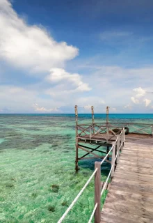 Malesia_Borneo_JAMBOTOUR (4)