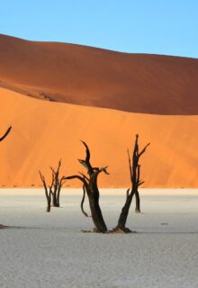 Namibia_Overland_jambotour_4-min