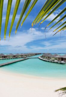 Paradise_Island-25-min