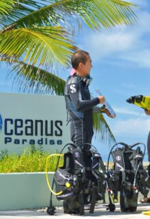 Paradise_Island-4-min