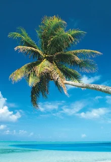 Polinesia_Jambotour (10)