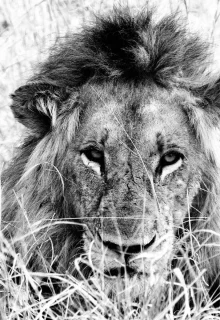 Sudafrica_Jambotour_2025 (1)