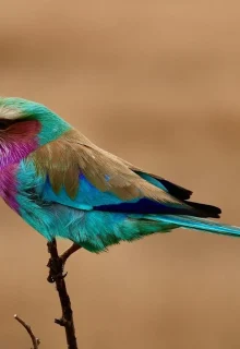 Sudafrica_Jambotour_2025 (10)