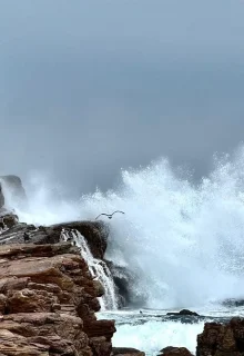 Sudafrica_Jambotour_2025 (2)