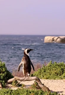 Sudafrica_Jambotour_2025 (4)