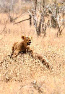 Sudafrica_Jambotour_2025 (7)