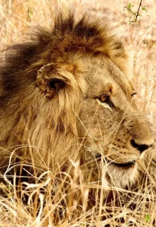 Sudafrica_Jambotour_2025 (9)