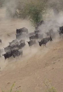 Tanzania_Jambotour_2025 (3)