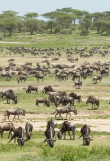 Tanzania_Jambotour_2025 (4)