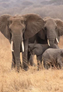 Tanzania_Jambotour_2025 (5)