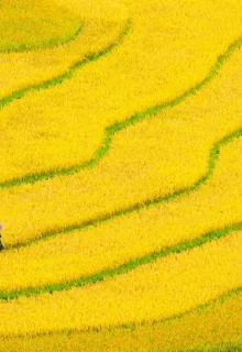 Vietnam_Jambotour (9)