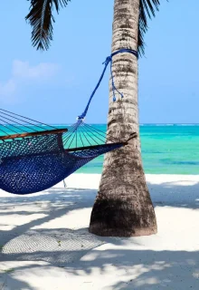 Zanzibar_Jambotour_2023 (7)